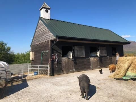 Дома для отпуска Letterfrack Farmhouse on equestrian farm in Letterfrack Tullywee Bridge-17