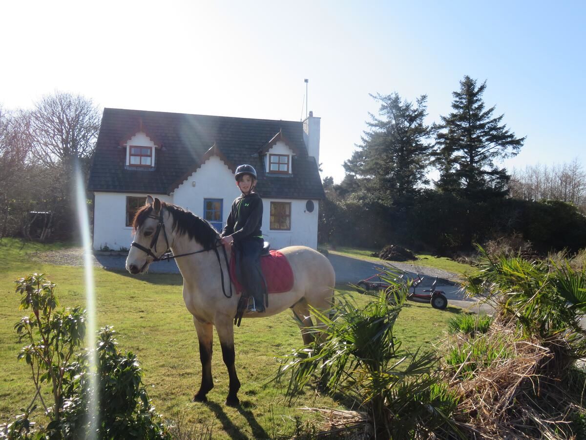 Дома для отпуска Letterfrack Farmhouse on equestrian farm in Letterfrack Tullywee Bridge-5