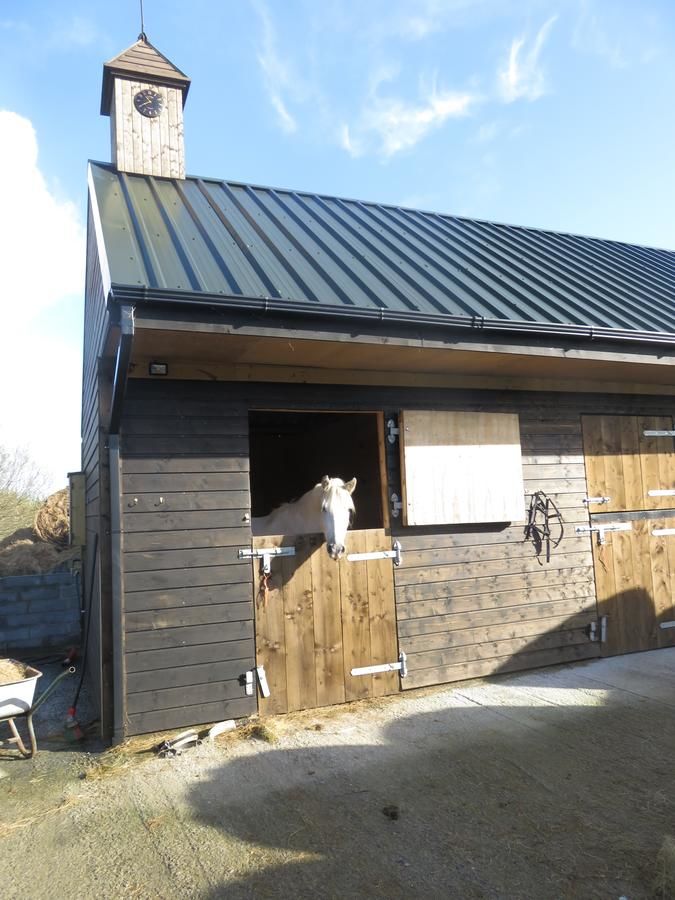 Дома для отпуска Letterfrack Farmhouse on equestrian farm in Letterfrack Tullywee Bridge-29