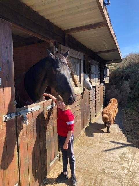 Дома для отпуска Letterfrack Farmhouse on equestrian farm in Letterfrack Tullywee Bridge-50