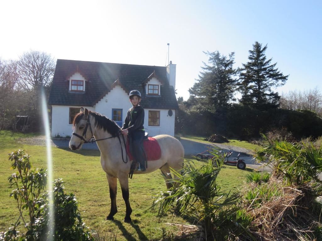 Дома для отпуска Letterfrack Farmhouse on equestrian farm in Letterfrack Tullywee Bridge